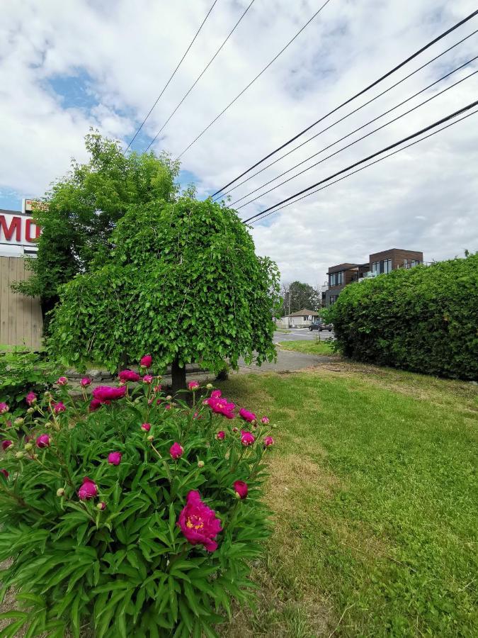 Motel Sainte Catherine Εξωτερικό φωτογραφία